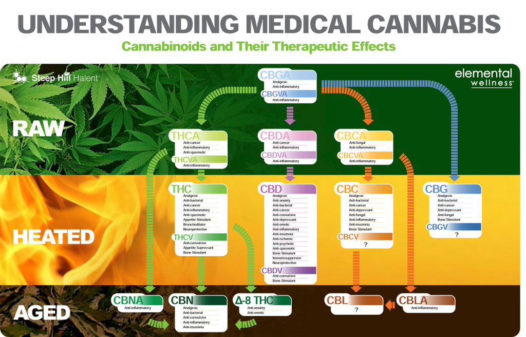 Emerald Zoo Den: Understanding Medical Cannabis and Therapeutic Effects.