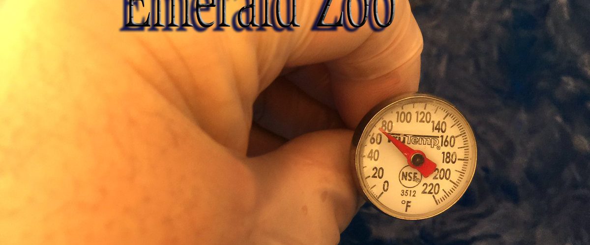 Emerald Zoo Den: EZ Taking Temperature for Cannabis Water.
