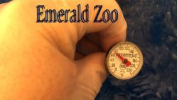 Emerald Zoo Den: EZ Taking Temperature for Cannabis Water.