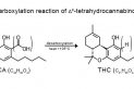 Emerald Zoo Den: Decarboxylation Chemical Compound