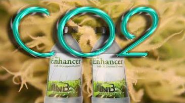 Emerald Zoo Den: TNB The Enhancer CO2
