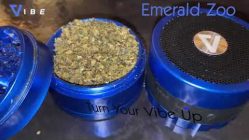 Emerald Zoo Den: The Vibe Bluetooth Speaker & Grinder All in One